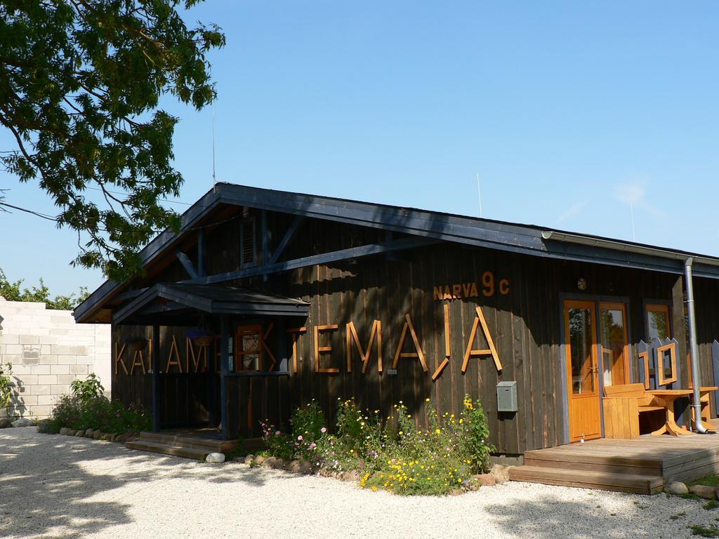 Hostel Kalameeste Maja Mustvee Kültér fotó